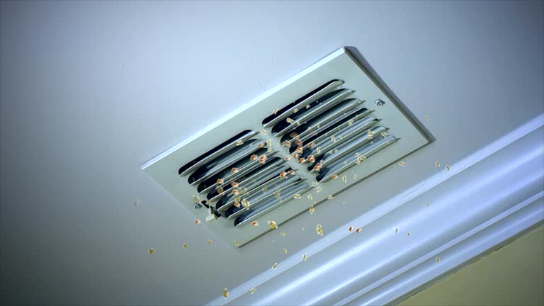 Best Air Duct Cleaning Near Me  in Langley, WA